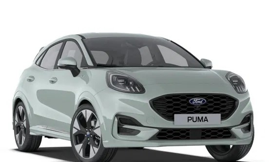 Ford Puma or Smilar